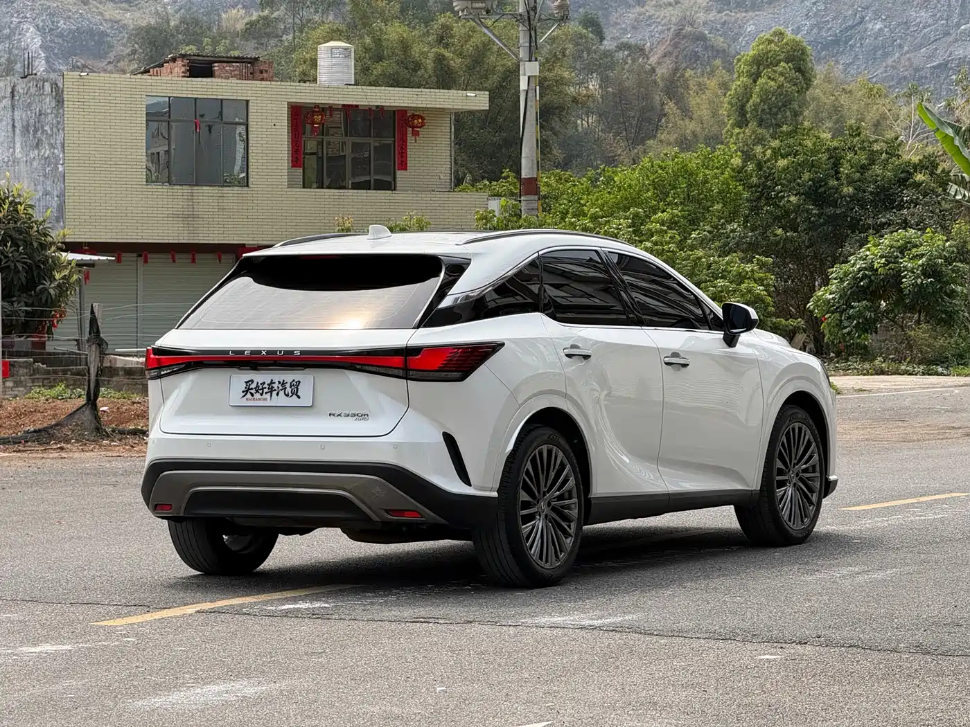 LEXUS RX