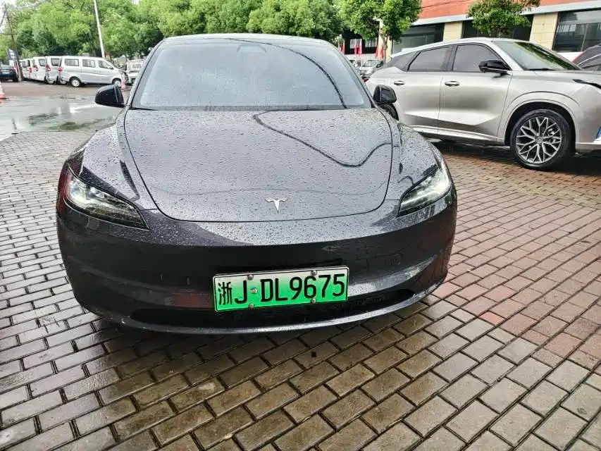 Tesla Model 3 2025 Model Rear-Wheel Drive Edition