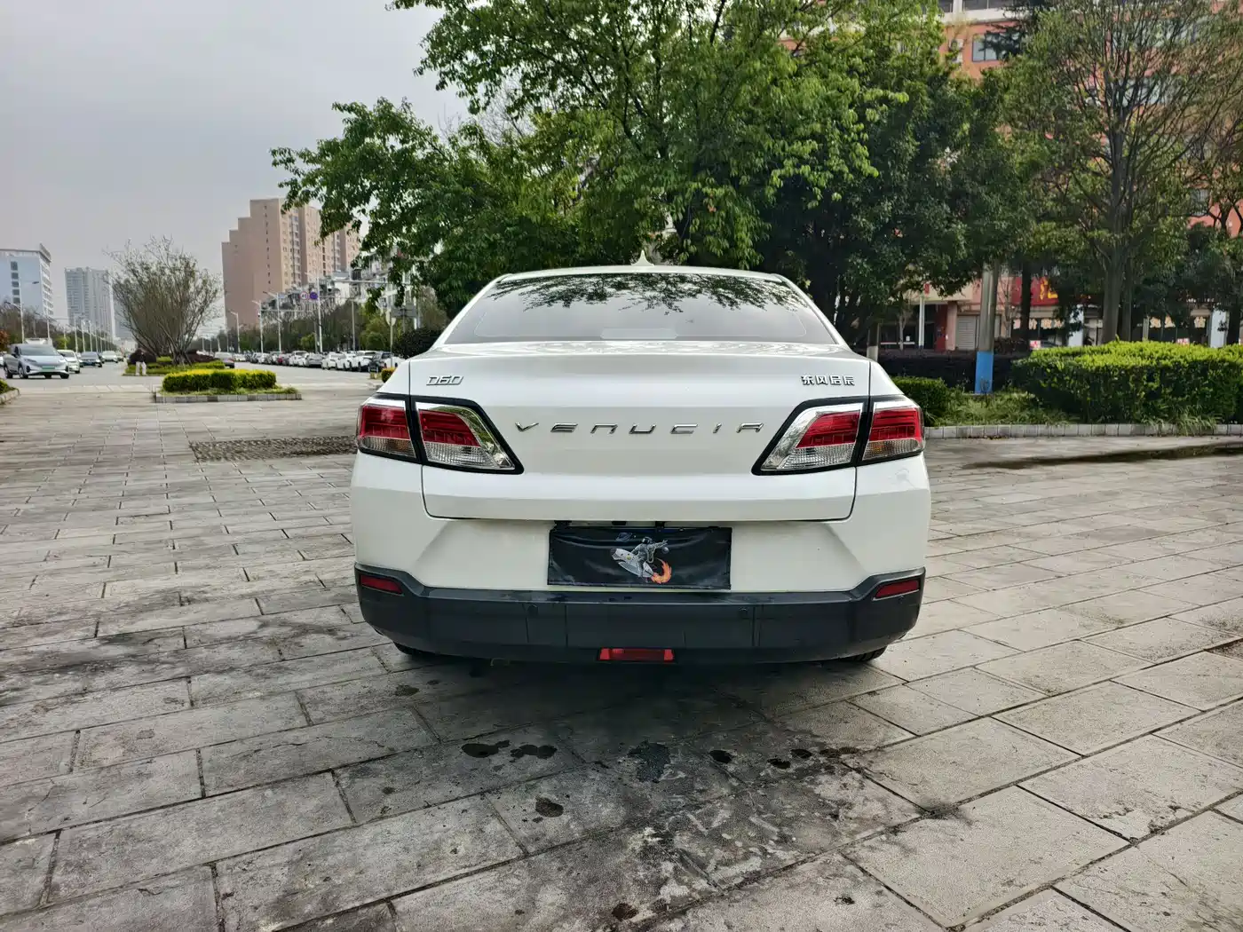 QICHEN D60