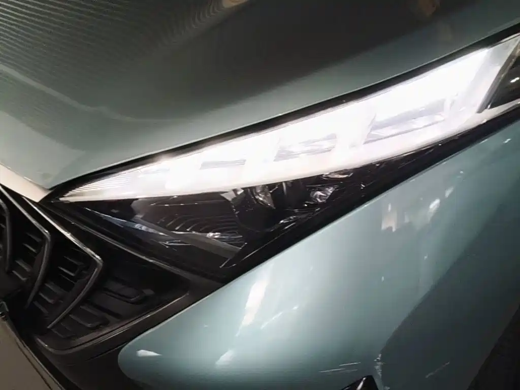 Фото 24 - Haima 7X