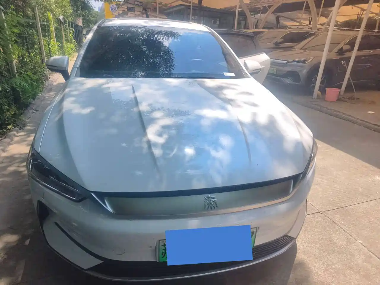 Фото 2 - BYD Qin PLUS