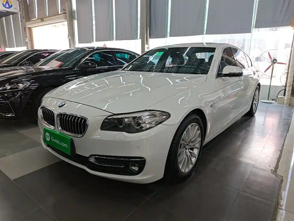 BMW 5 Series 2014 525Li Luxury Design Package