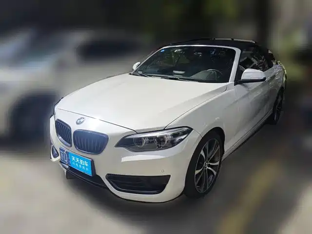 BMW 2 Series (Import) 2019 225i Convertible Coupe Sport Design Package — фото 1