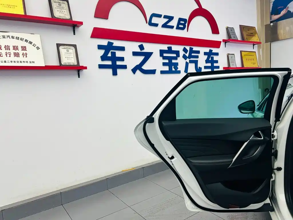 DS 5 2014 2014 1.6T Luxury THP160
