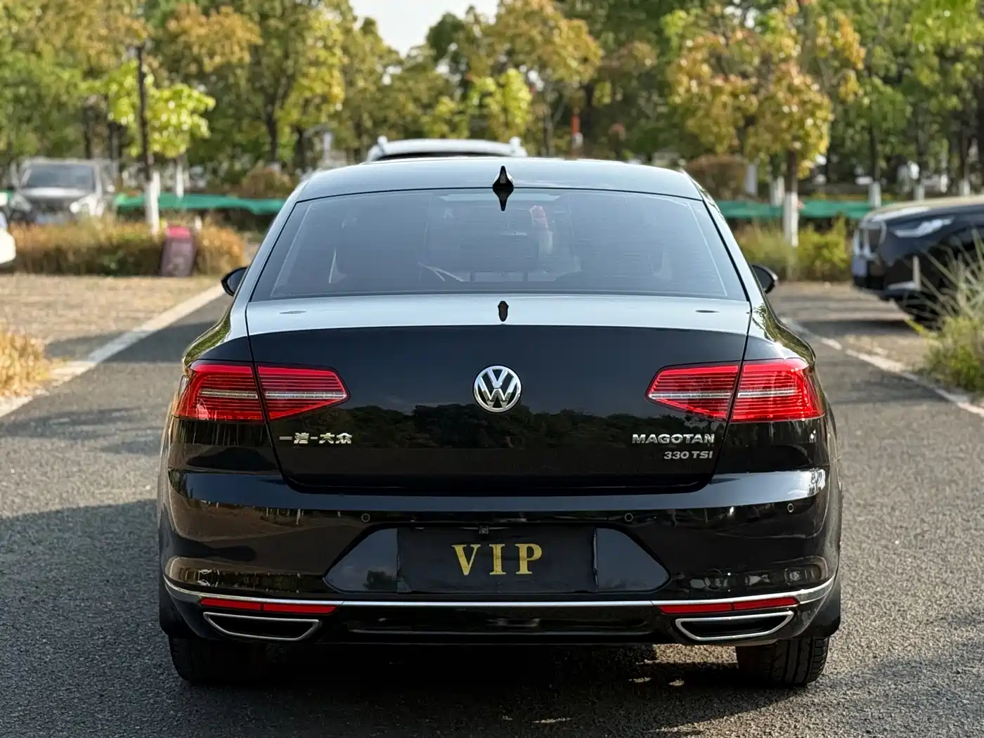 Volkswagen Magotan 2019 330TSI DSG Leading China VI фото 24