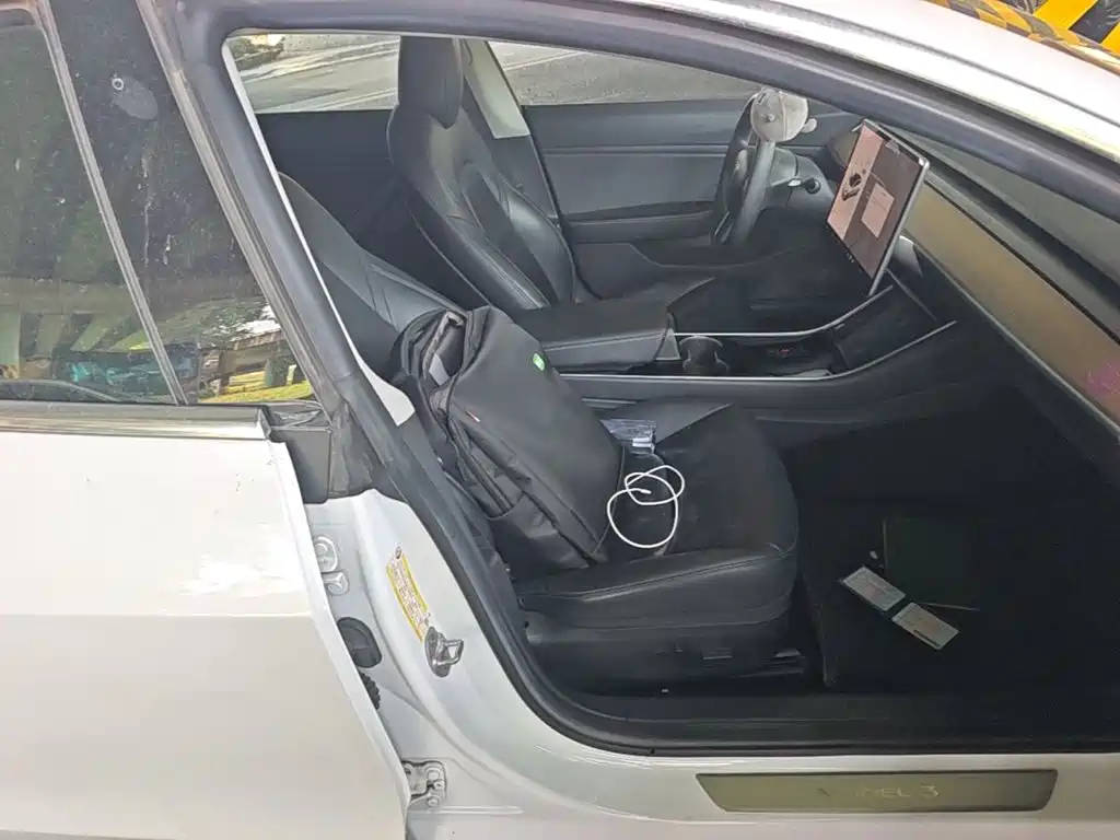 Tesla Model 3 (Import) 2019 2019 Standard Range RWD Upgraded Edition