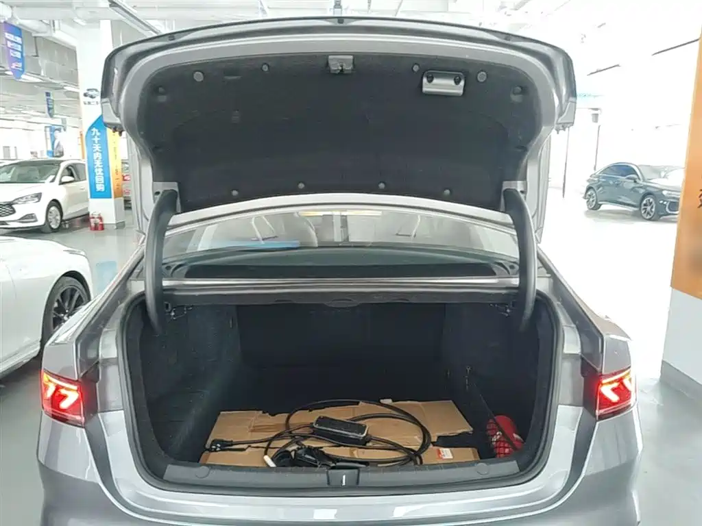 BYD Qin PLUS 2024 Glory Edition DM-i 55KM Leading фото 19