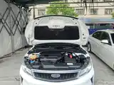 Photo 20 - Geely Emgrand GL