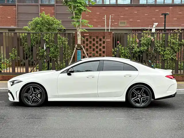 Mercedes-Benz CLS 2022 CLS 300 Dynamic — фото 5