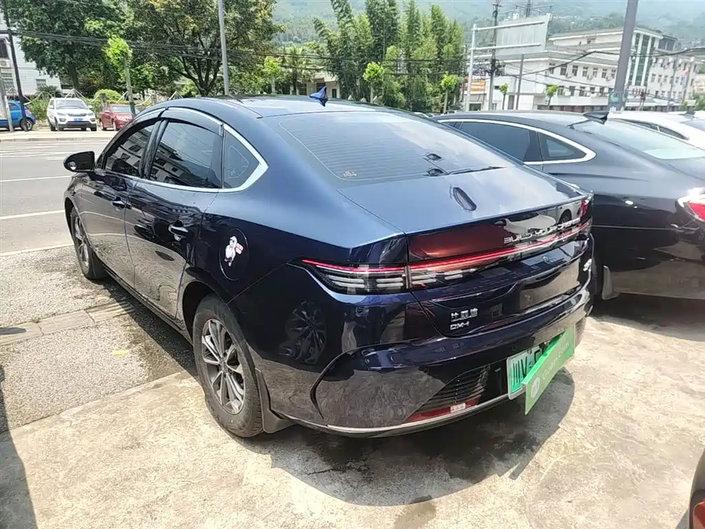 BYD Destroyer 05 2024 Glory Edition DM-i 55KM Luxury фото 5
