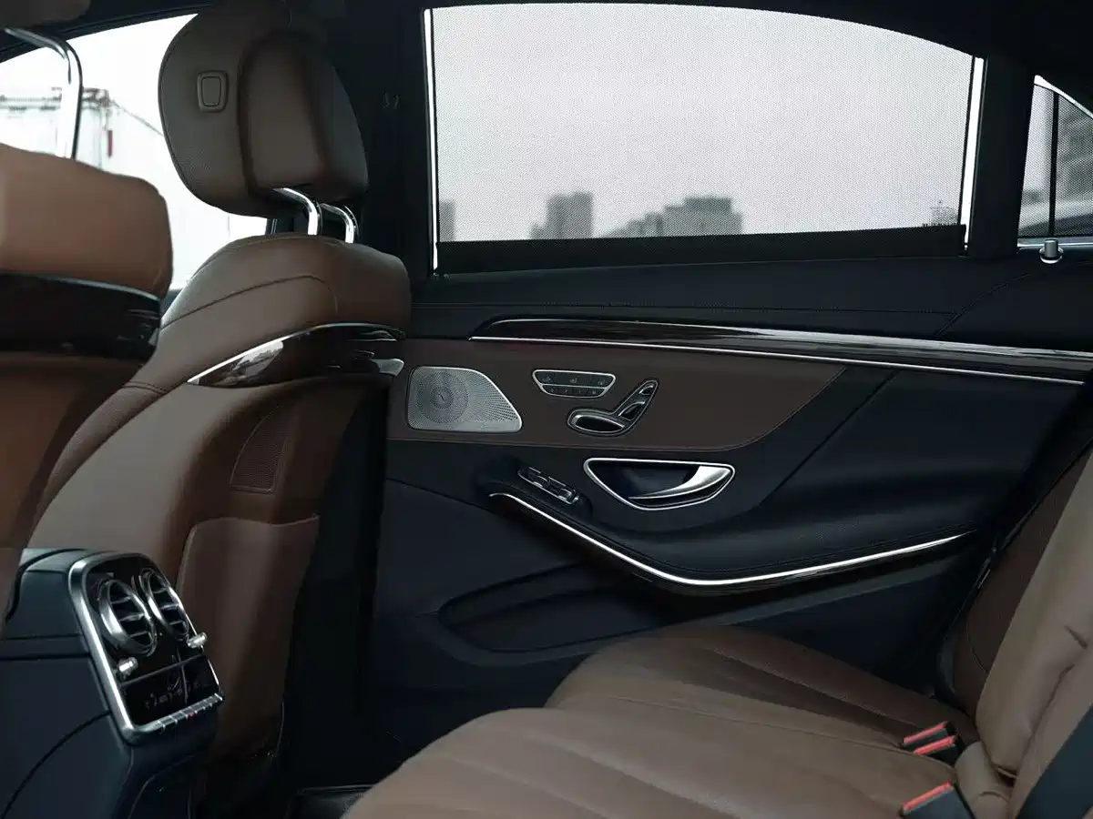 Mercedes-Benz S-Class 2020 S 350 L Premium Edition Collector's Version фото 10