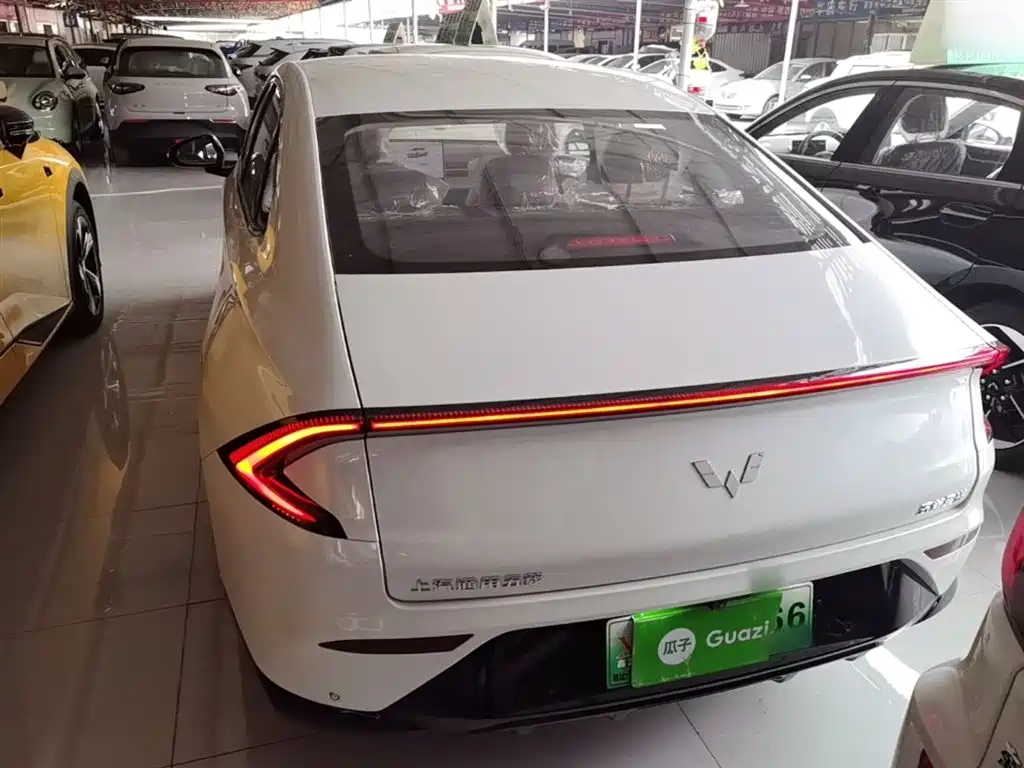 Фото 6 - Wuling Motors Wuling Xingguang