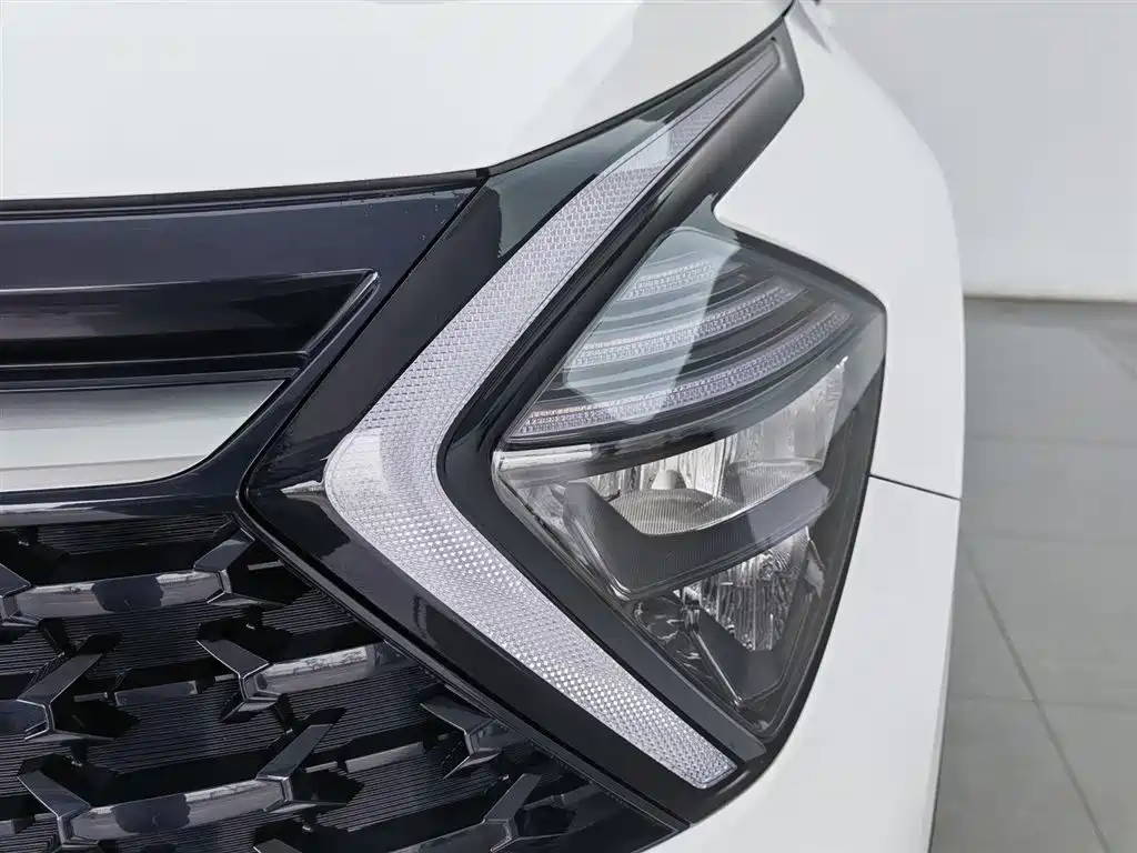 KIA LION PLATINUM EXPANDS THE WORLD