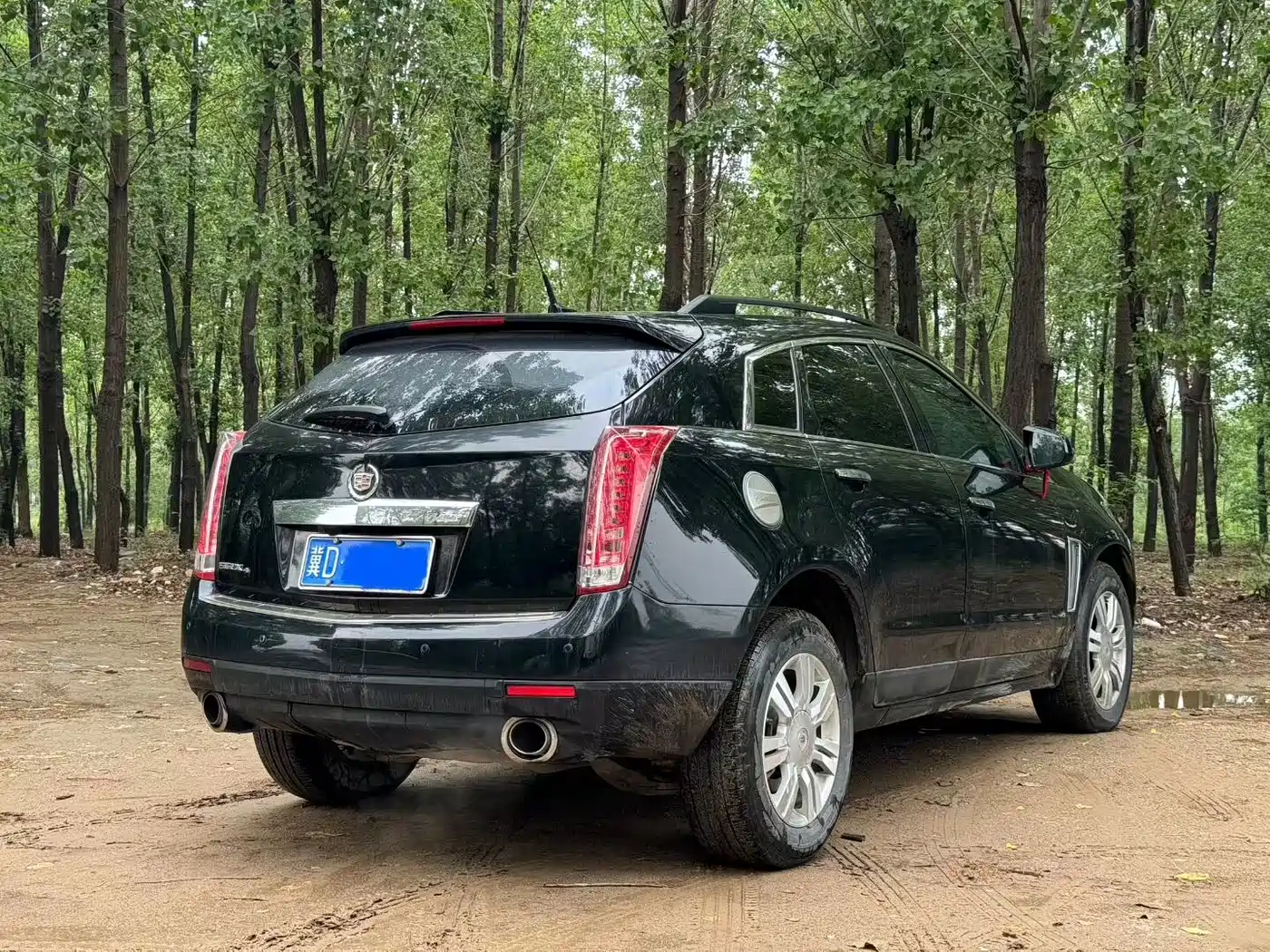 Cadillac SRX 2015 3.0L Comfort фото 5