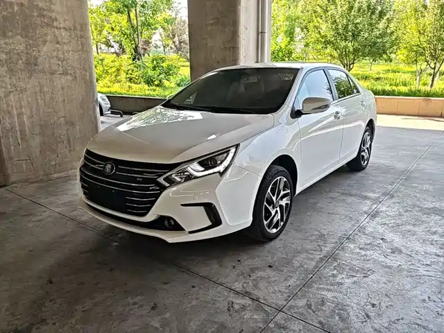 BYD QINXIN ENERGY 2019