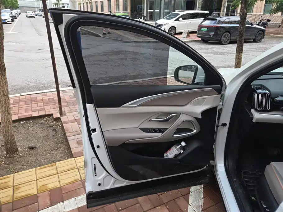 BYD Song Pro New Energy 2023 Champion Edition DM-i 110KM Excellence фото 7