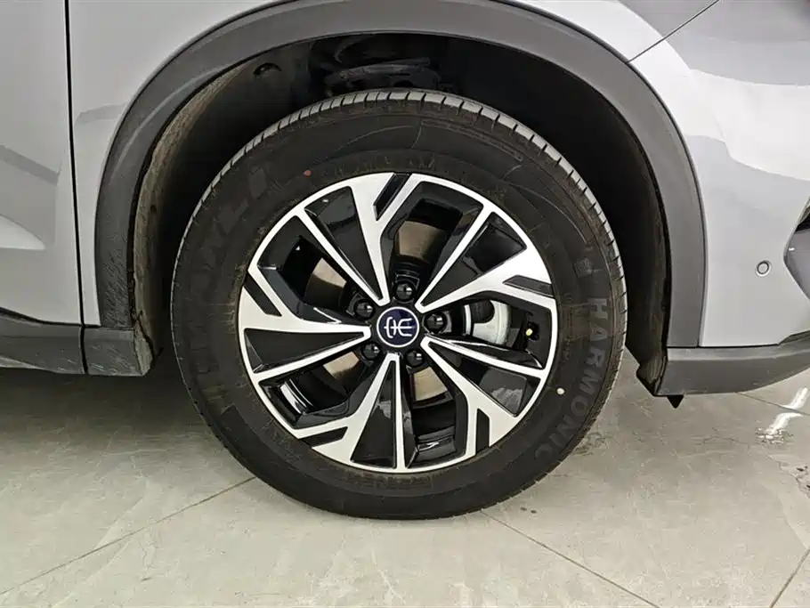 BYD SONGJIANG NEW ENERGY