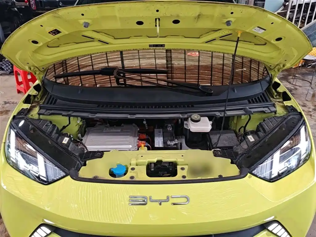 BYD Seagull 2023 Flying Edition фото 20