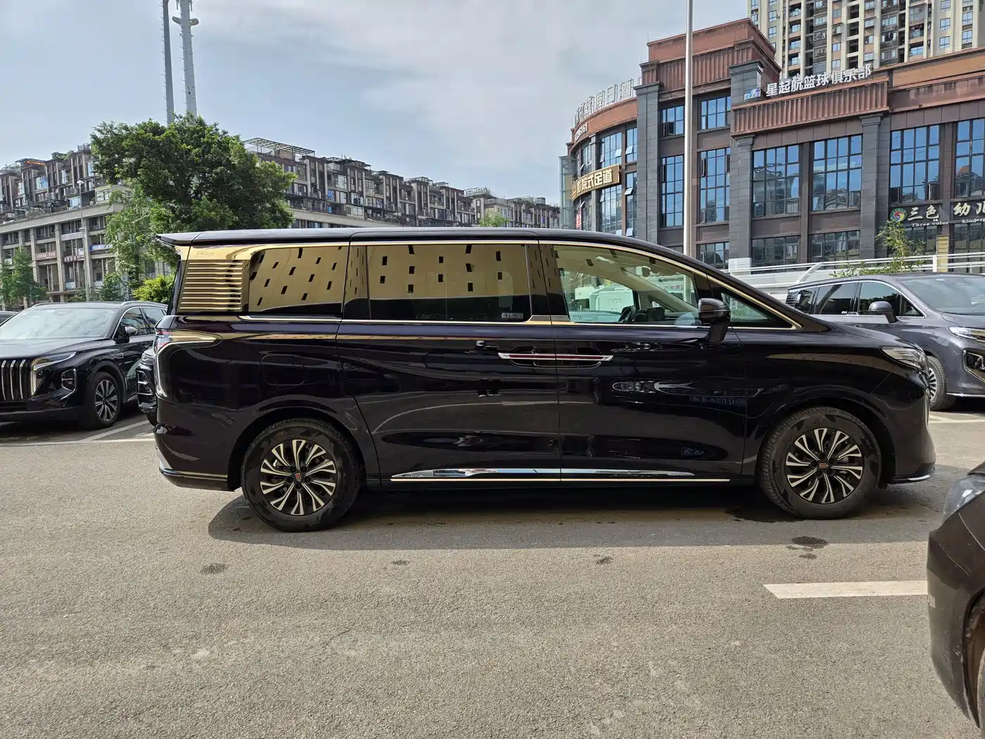 Hongqi HQ9 PHEV 2024 Model 2.0T AWD Luxury Edition фото 4