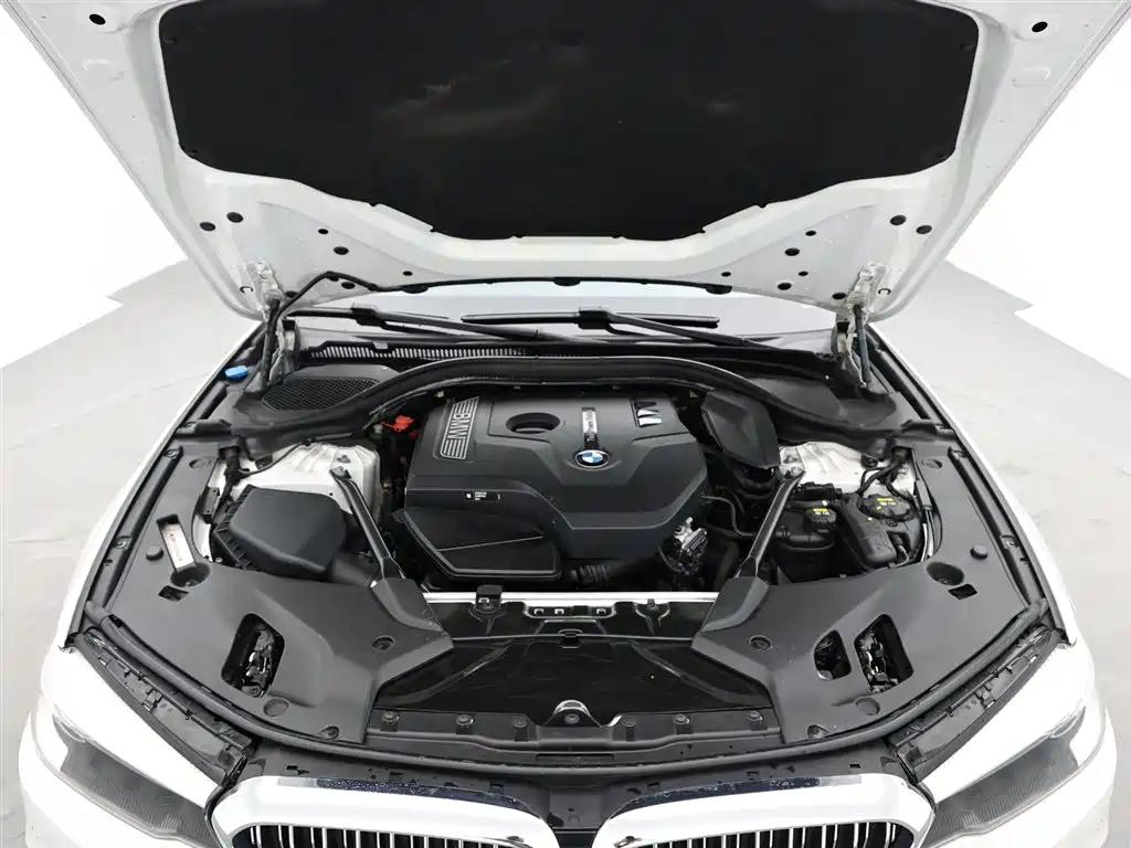 BMW 5 Series 2018 530Li Leading Luxury Package фото 17