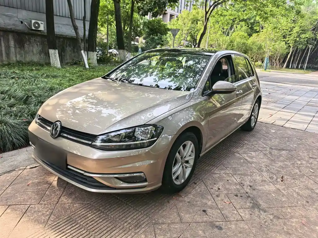 Volkswagen Golf 2018 1.6L Automatic Comfort фото 2