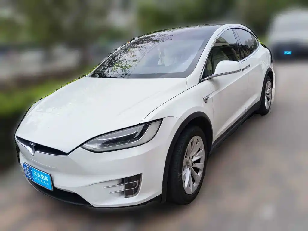 Фото 1 - Tesla Model X