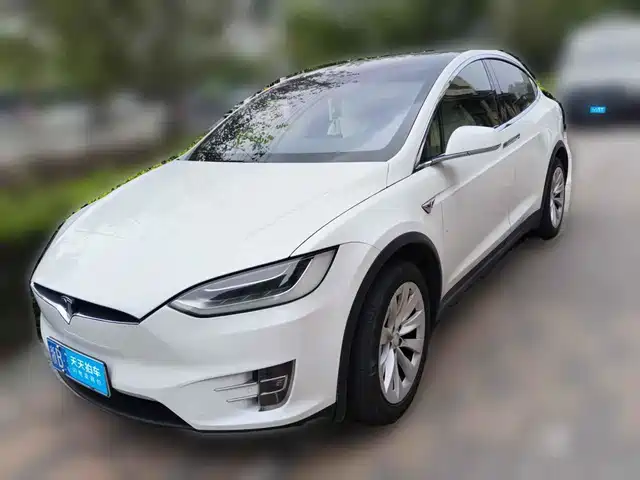 Tesla Model X 2016 Model X 90D — фото 1