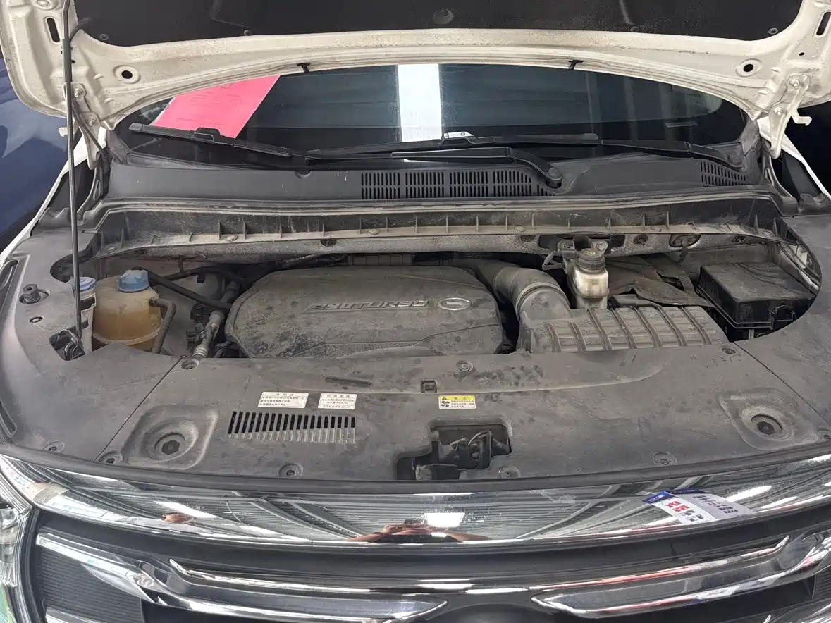 GAC Trumpchi Trumpchi M8 2020 Pilot 390T Prestige Edition фото 23
