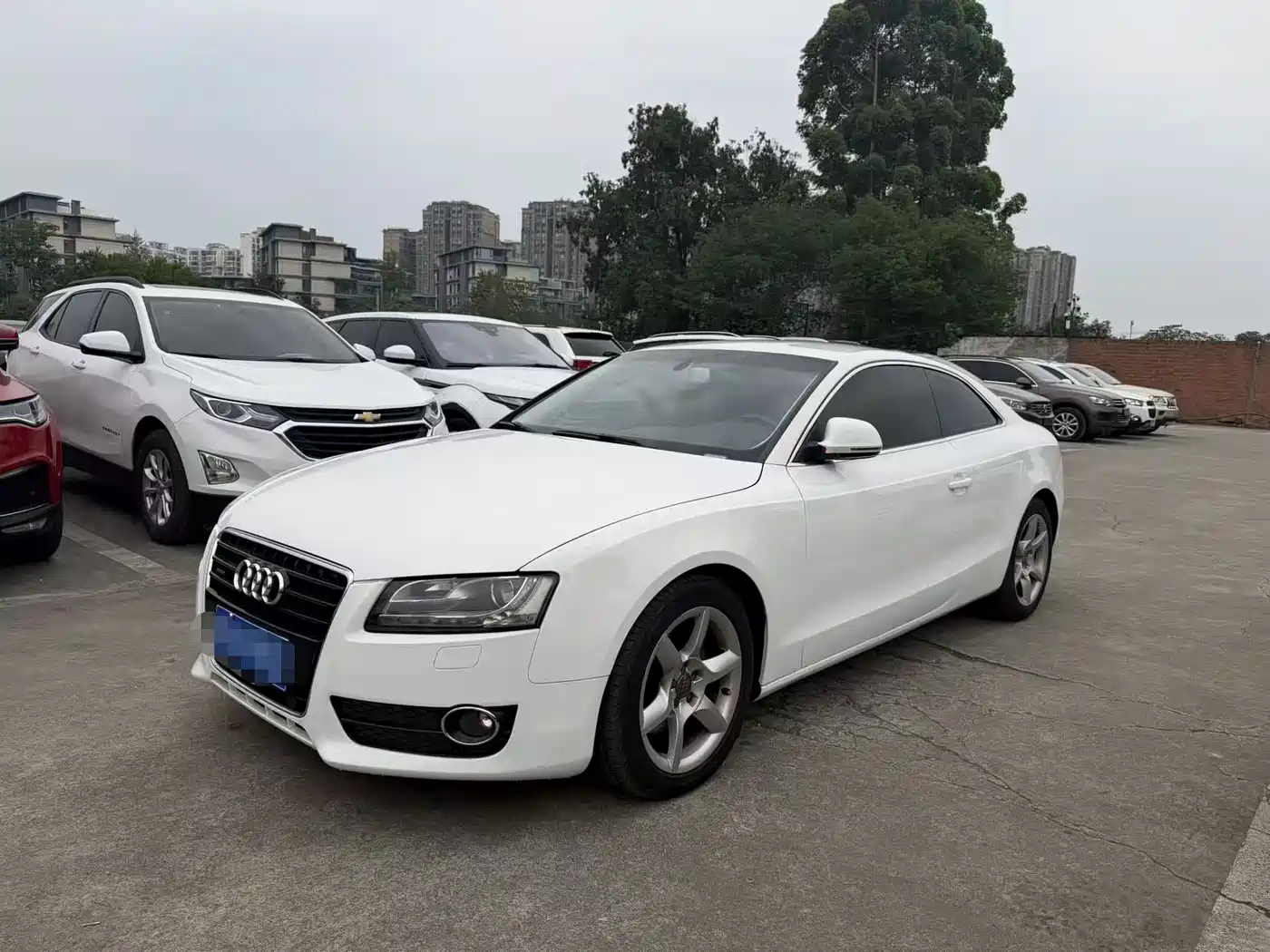 Audi A5 (Import) 2010 3.2 coupe quattro