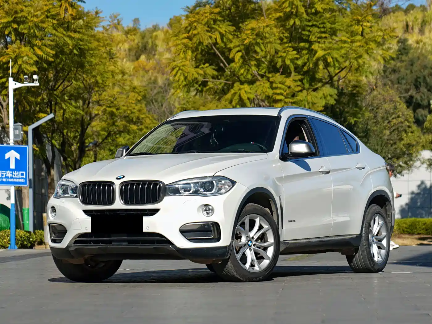 BMW X6 2015 xDrive35i Luxury Model