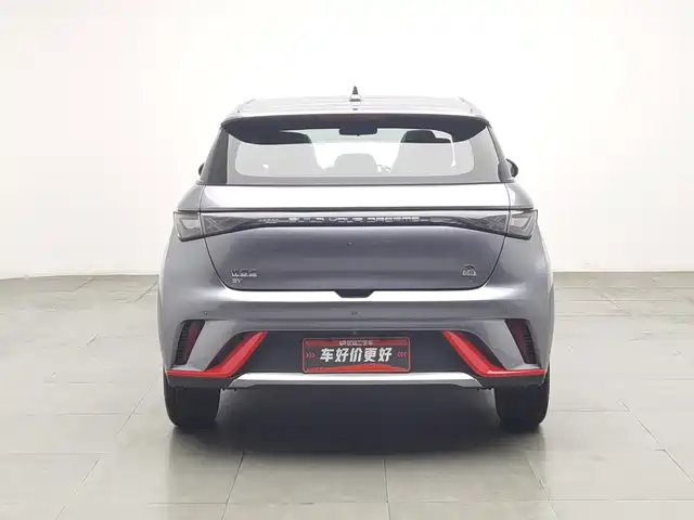 BYD Dolphin 2021 Model 405km Fashion Edition — фото 4