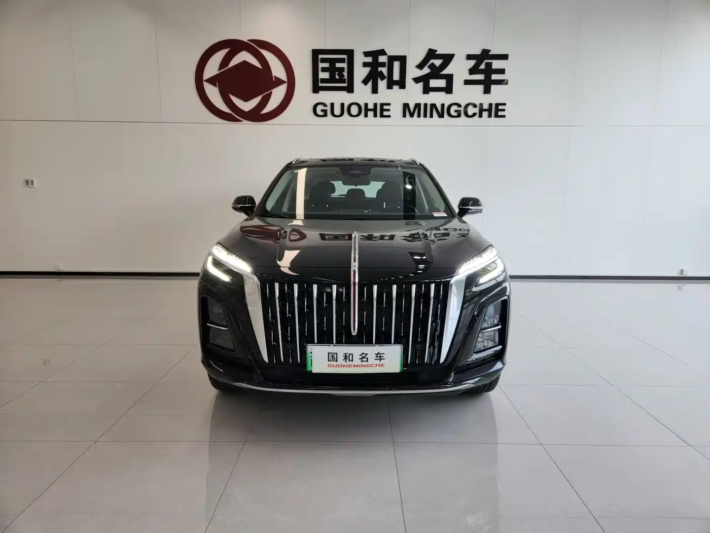 Hongqi HS3 PHEV 2025 PHEV 117km Power PLUS Edition фото 2