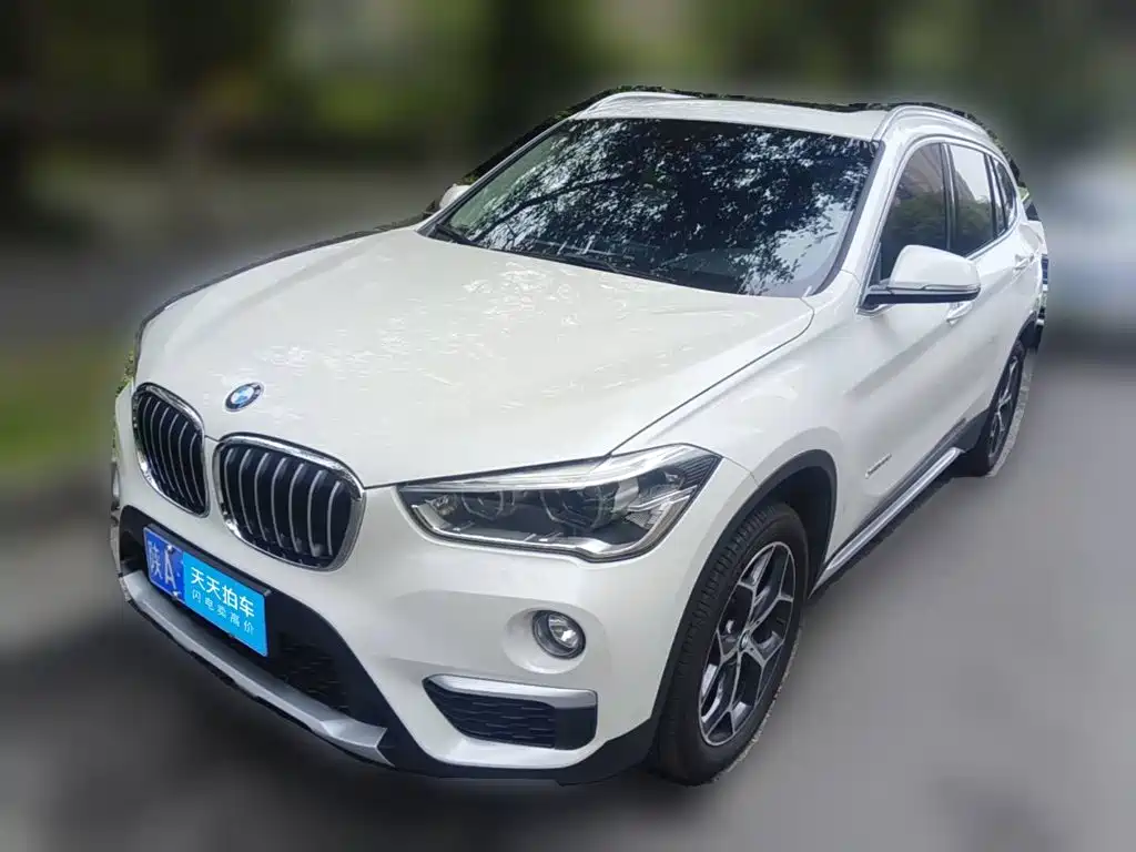 BMW BMW X1 2018 xDrive20Li Premium Model