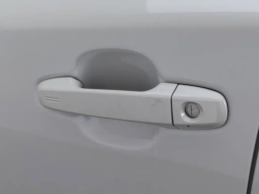 Toyota IZOA 2021 2021 2.0L Yixiang Edition