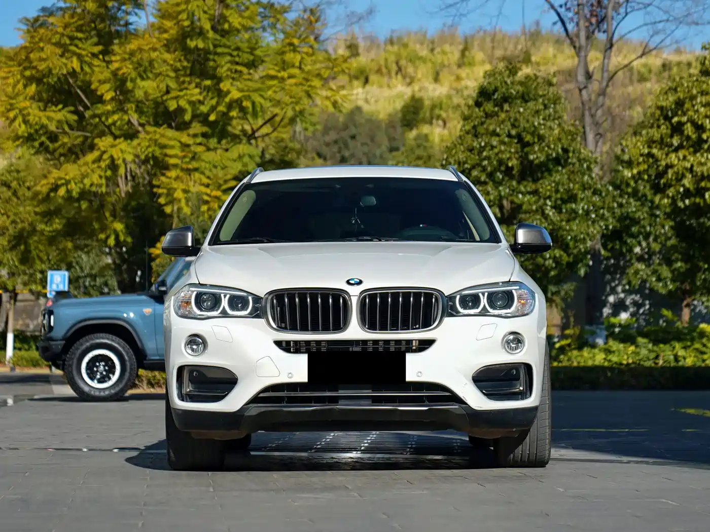 BMW X6 2015 xDrive35i Luxury Model фото 3