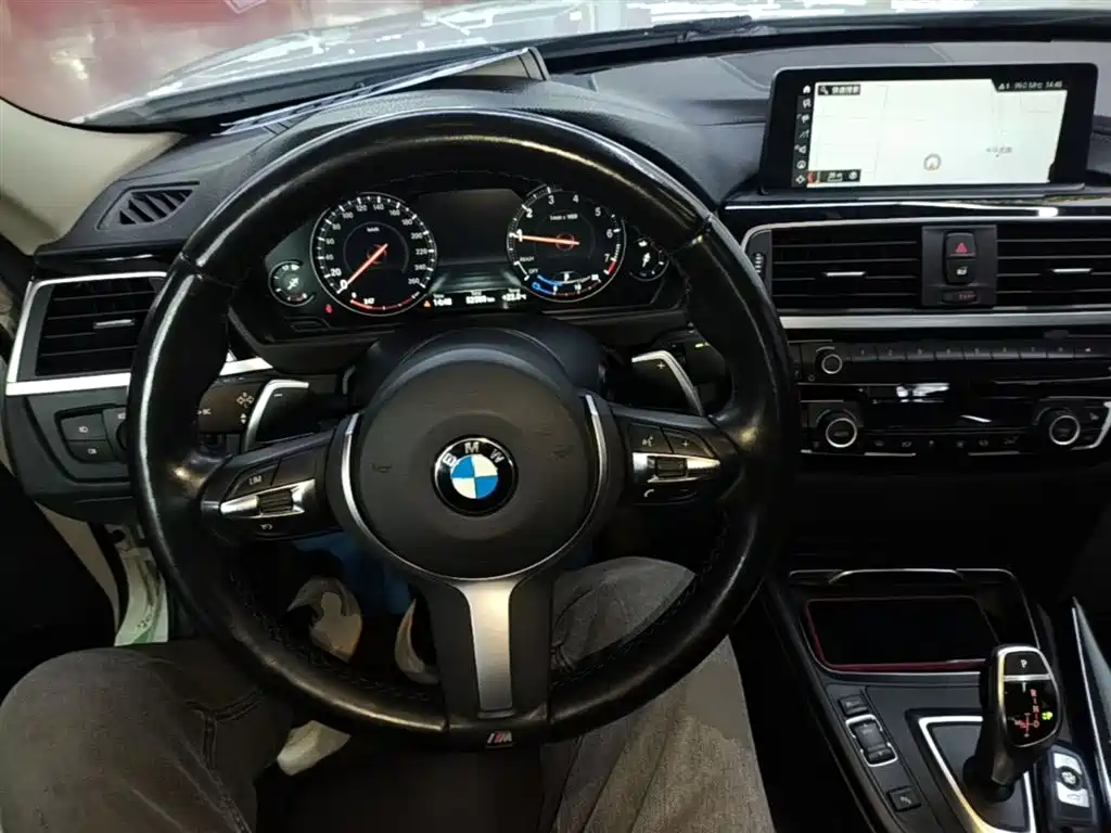 BMW 3 Series 2019 320Li M Sport Package фото 10