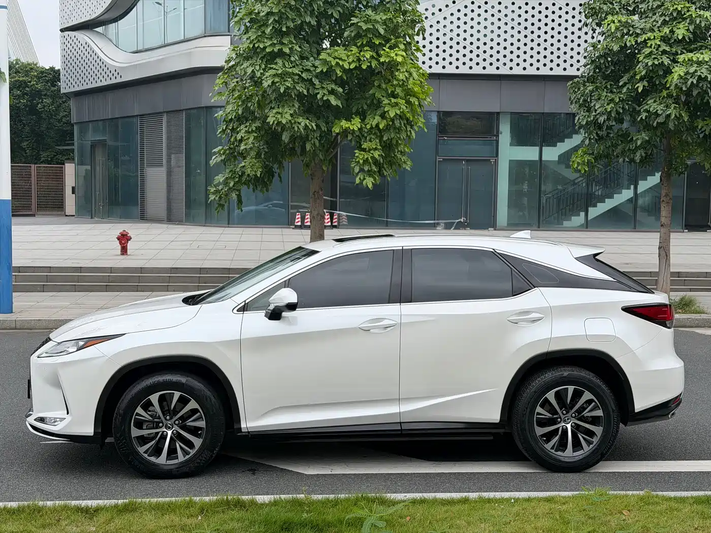 Фото 19 - Lexus RX