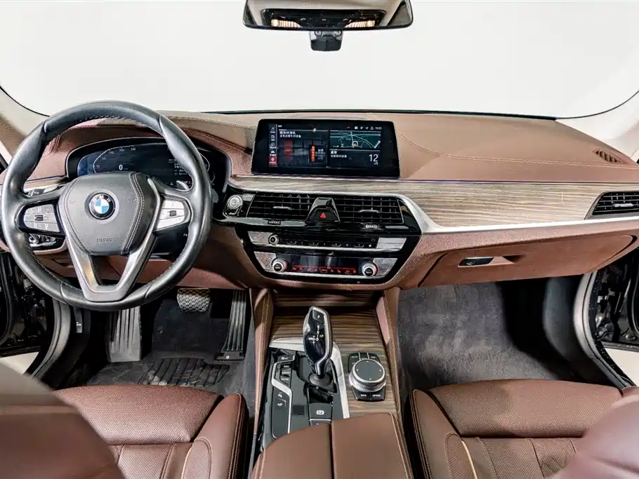 BMW 5 Series 2020 530Li Premium Luxury Package фото 14