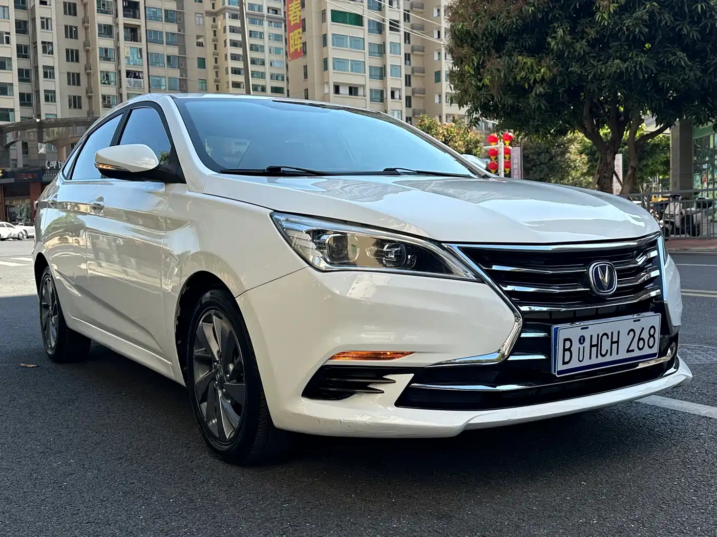 CHANGAN YIDONG DT