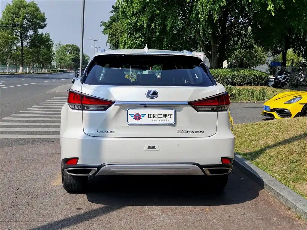 Lexus RX 2020 Facelift 300 2WD Elite Edition фото 5