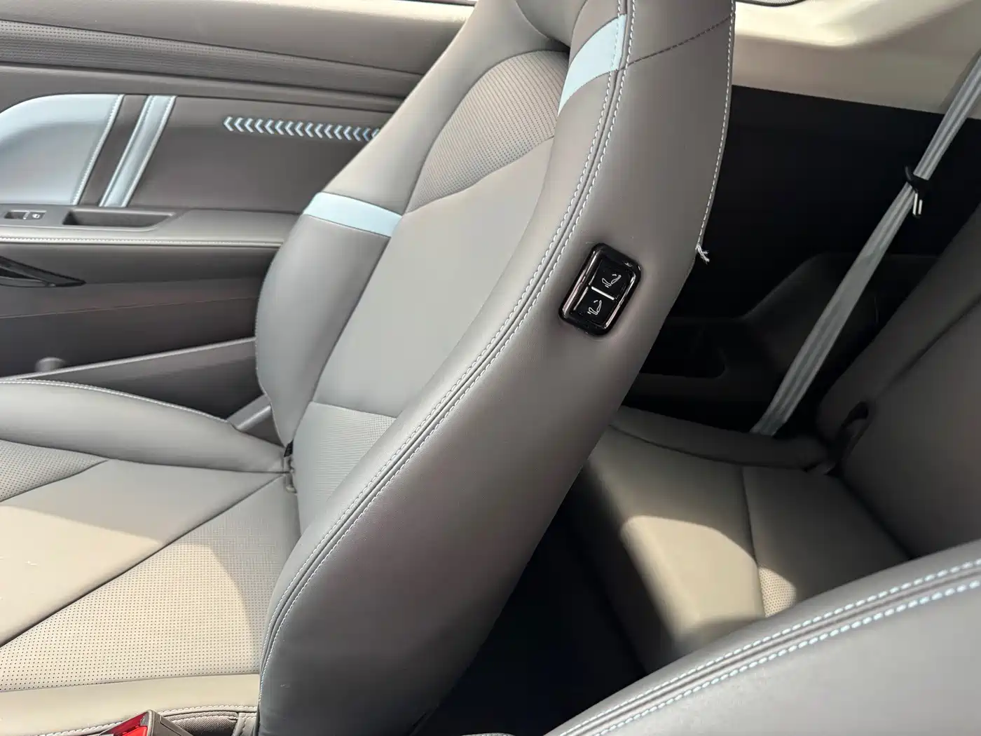 Chery New Energy Chery Wujie Pro 2023 2022 301km Mythical Beast Edition LFP