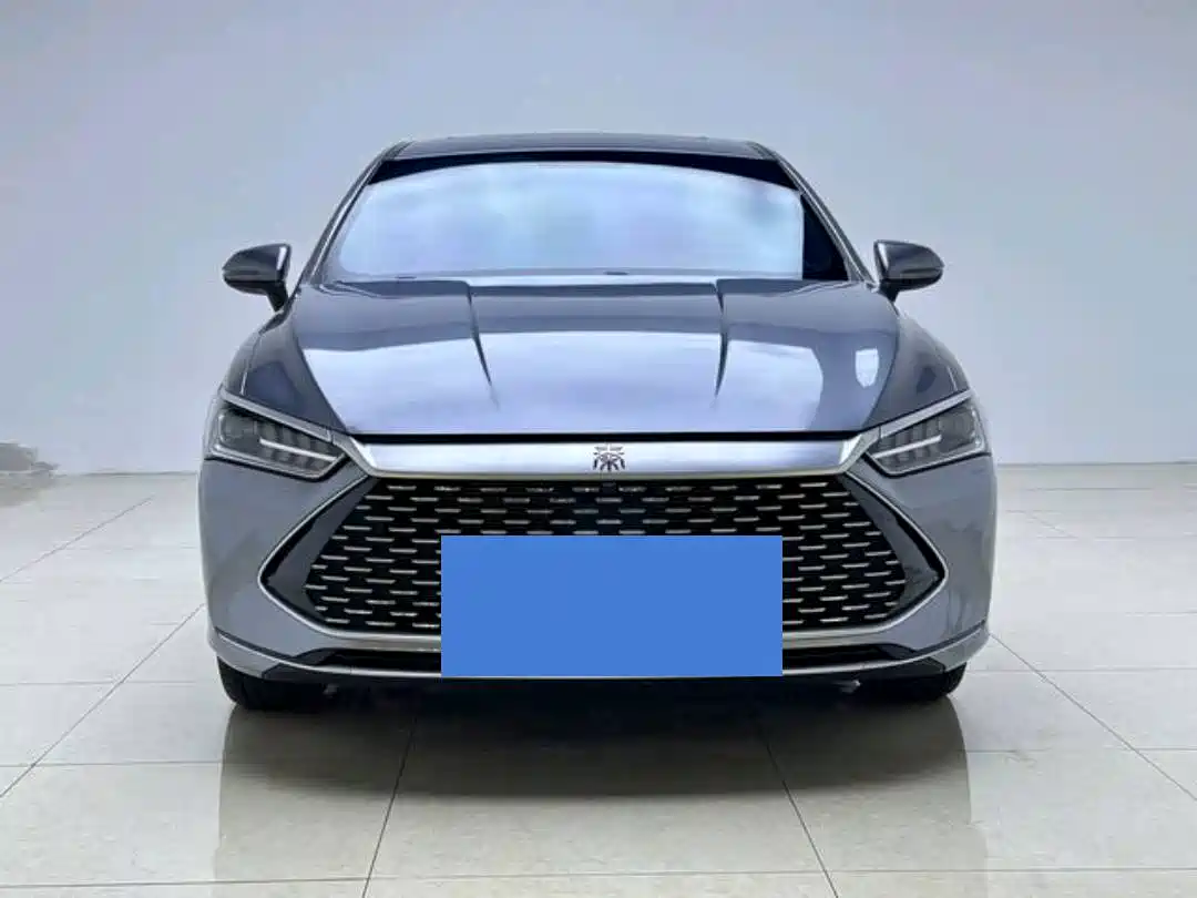 BYD Qin PLUS 2023 Champion Edition DM-i 120KM Leading Type фото 3