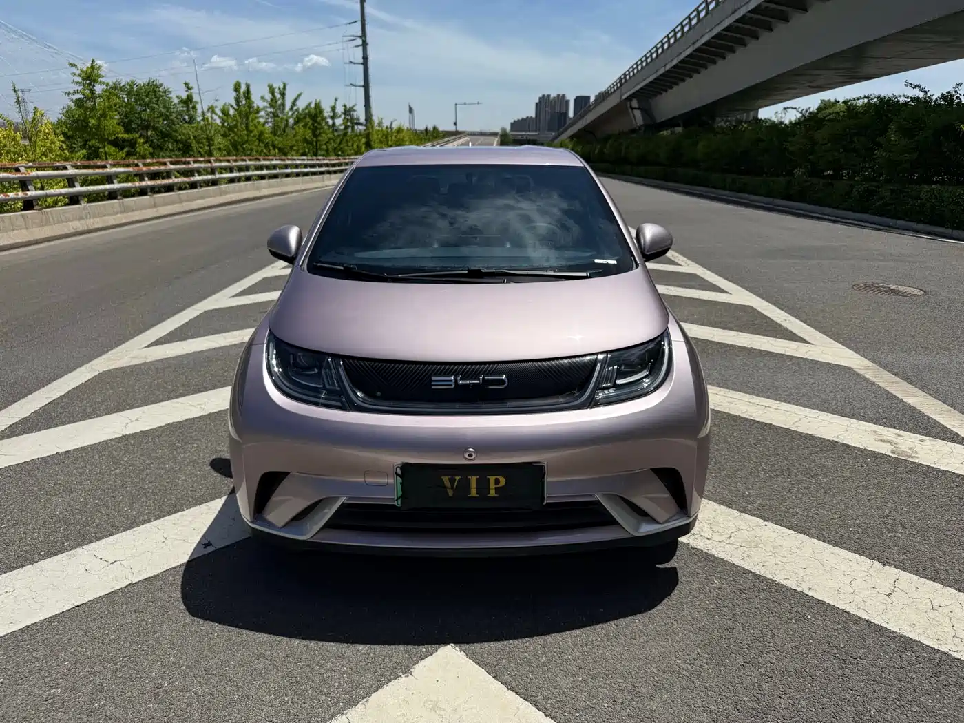 BYD Dolphin 2023 420km Freedom Edition фото 2