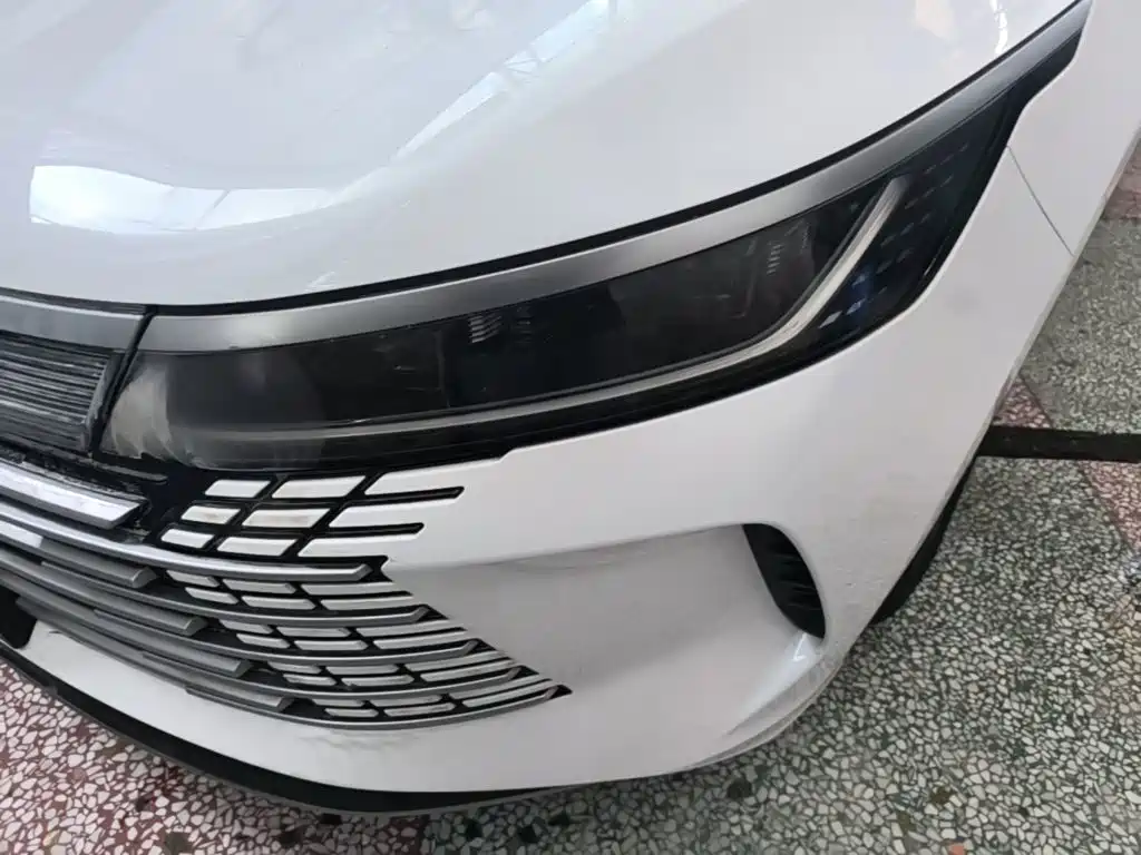 Фото 24 - BYD Destroyer 05