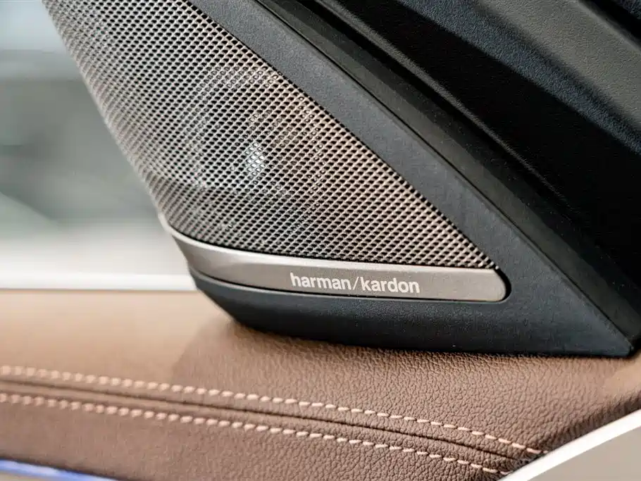 BMW 5 Series 2020 530Li Premium Luxury Package фото 20