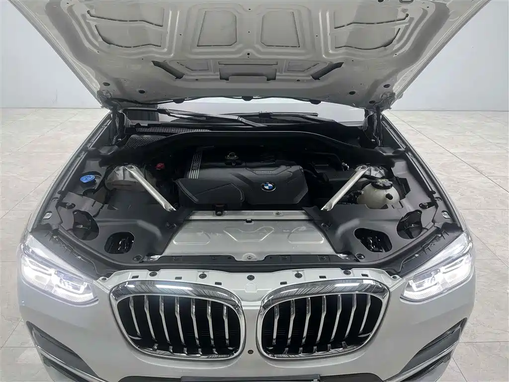 BMW X3 2021 xDrive25i Luxury Package фото 22