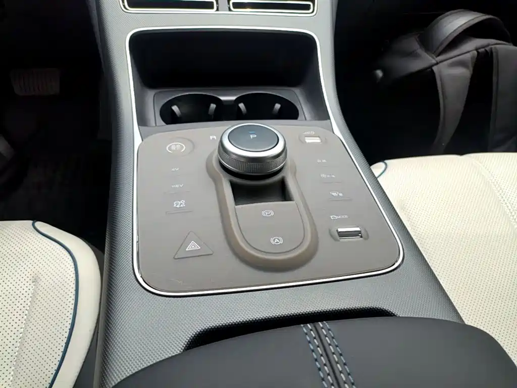 BYD Destroyer 05 2024 Glory Edition DM-i 55KM Luxury фото 14