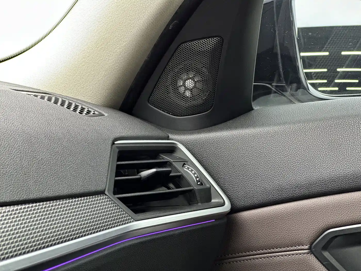 BMW 3 Series 2020 325Li M Sport Black Night Package фото 6