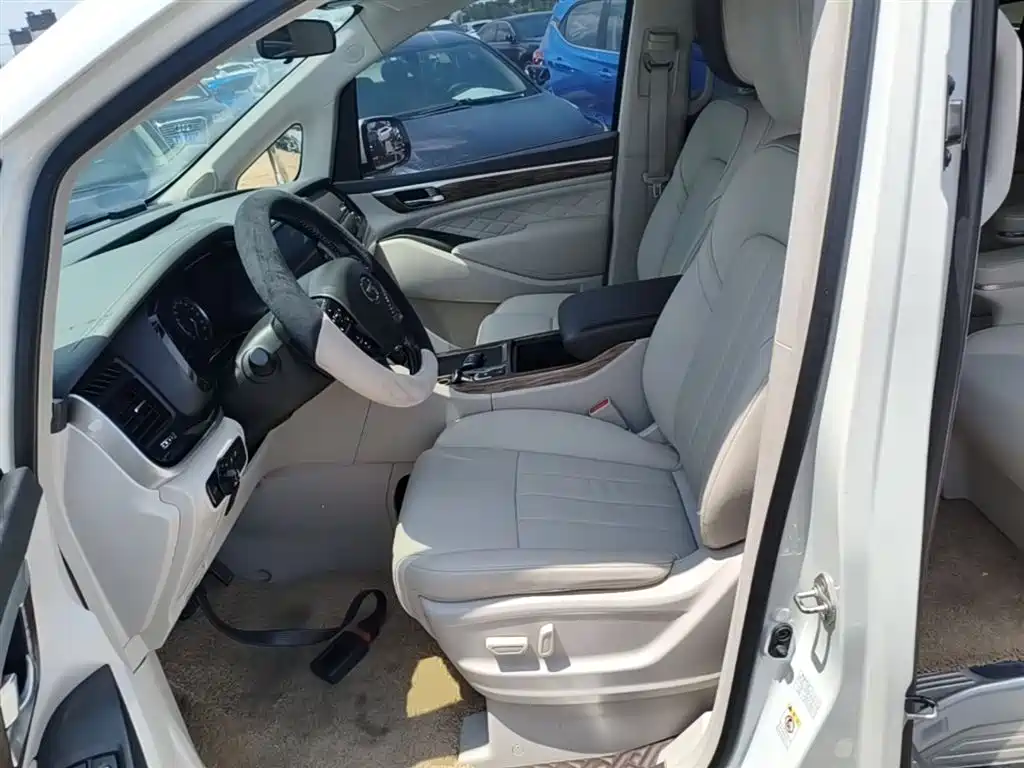 GAC Trumpchi Trumpchi M8 2018 320T Exclusive Edition фото 15
