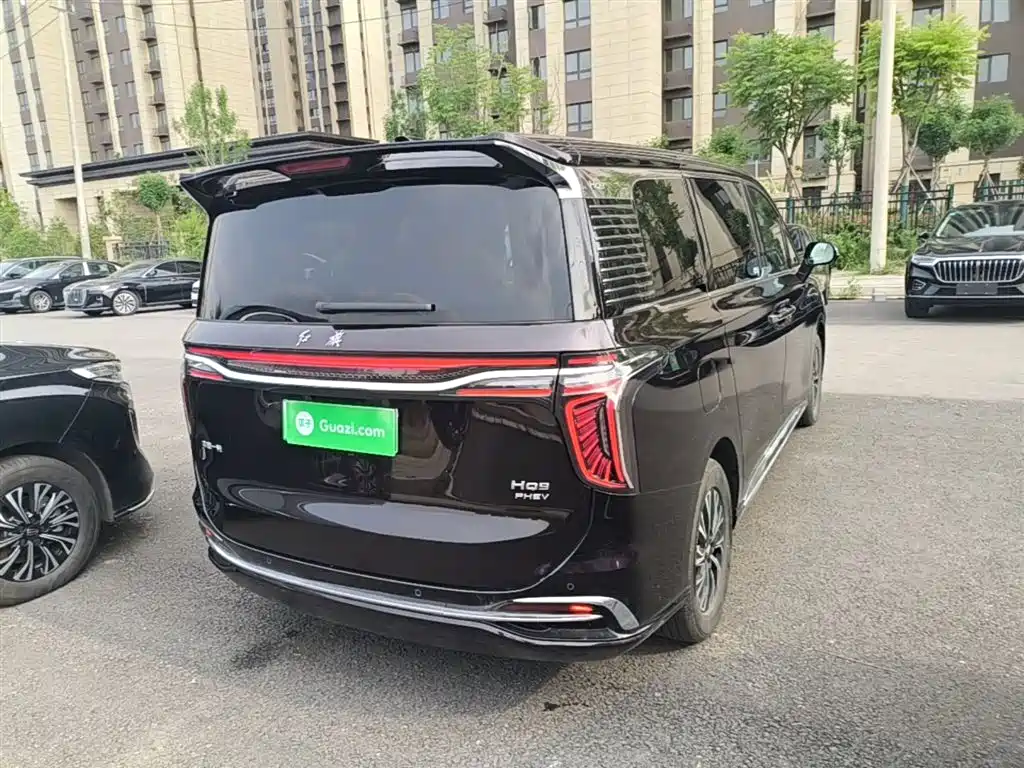 Hongqi HQ9 PHEV 2024 Model 2.0T AWD Business Edition фото 7